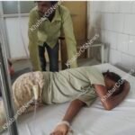 Janjgir SnakeBite : 11 साल की लड़की को सांप ने डसा, अस्पताल में भर्ती किया गया, आम लेने गई लड़की को सा...