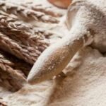 Wheat Flour Ban: सरकार का बड़ा फैसला, मैदा-सूजी के साथ गेहूं के आटे के निर्यात पर लगाई रोक. जानिए क्...
