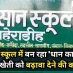 JanjgirChampa : किसान स्कूल में बन रहा बिच्छू की तरह 'धान का झूमर', जैविक खेती को बढ़ावा देने की कोशि...