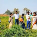JanjgirChampa Farmer Innovative : सब्जी खेती का गढ़ बना जाटा गांव, दो साल पहले गांव में 35 किसानों को...