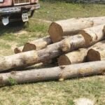 JanjgirChampa News : पिकअप में भरे 13 नग सागौन लकड़ी को जब्त किया, वन विभाग के हवाले किया प्रकरण