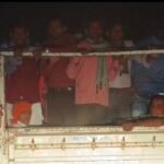 JanjgirChampa : मालवाहक वाहनों और ट्रैक्टरों से लोगों को ढोया जा रहा, नहीं होती कार्रवाई, यातायात पु...