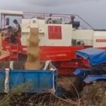 JanjgirChampa Farmer Problem : रबी फसल के धान को बेचने के लिए किसानों को करनी पड़ रही है मशक्कत, कम द...