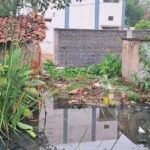 Sheorinarayan Big Problem : शिवरीनारायण में लाखों की 'नाली' बनी मुसीबत, मोहल्ले-घरों में घुसा गटर का...