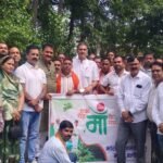 Baloda News : भाजपा बलौदा मंडल द्वारा किया गया पौधरोपण कार्यक्रम