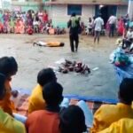 Korba News : Korba : नागपंचमी पर किया गया 'नगमत', सांप की तरह लोटते हैं ग्रामीण, इस वजह से की जाती ह...