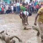 Janjgir News : पुरानी बस्ती में नागपंची के अवसर पर 'नगमत' का हुआ आयोजन, ...ये बड़ी मान्यता... दशकों स...