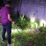 Korba King Kobra : एक बार फिर विशालकाय किंग कोबरा का रेस्क्यू किया गया, घर के आंगन में दिखा तो लोगों...