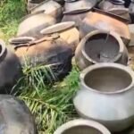 Sheorinarayan Police Action : बुंदेला गांव के सबरिया डेरा से पुलिस ने लावारिस हालत में 90 बोरी महुआ ...