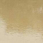 JanjgirChampa Canal DeadBody : नहर में युवती की लाश मिली, शव का पोस्टमार्टम कराकर पुलिस ने शुरू की ज...