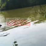 Janjgir Big News : तालाब में मिली महिला की लाश, गले में ईंट बंधी मिली, हत्या कर शव फेंकने की आशंका, ...