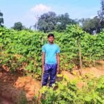 Raigarh Farming : बरबट्टी की खेती से आत्मनिर्भरता की ओर बढ़ रहे केराबहार के किसान खुलेश्वर पैकरा, कम...