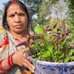 Kisaan School : राज्य स्तरीय 'भाजी महोत्सव' को लेकर महिलाओं में उत्साह, 10 दिसंबर को किसान स्कूल बहे...