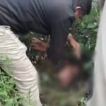 Korba : निर्मोही मां ने जन्म के बाद बच्चे को बाड़ी में फेंका, बच्चे का इलाज जारी, जांच में जुटी पुलिस