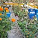 Kisaan School : किसान स्कूल में 10 दिसंबर को आयोजित होगा राज्य स्तरीय भाजी महोत्सव, महोत्सव में दिखे...