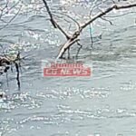 Janjgir-Baloda DeadBody : बड़ी नहर में शख्स की लाश मिली, मौके पर पहुंचकर बलौदा पुलिस ने शुरू की जांच....