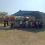 Baheradih Good News : बहेराडीह के गोठान में संग्रहित किया गया पैरा, पराली को खेतों में जलाने की बजाय...