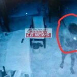 JanjgirChampa Thief : शिक्षक के घर में हुई चोरी, CCTV में कैद हुआ चोर, बैग को घर के बाहर छोड़कर भागा ...