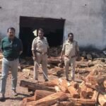 JanjgirChampa Big News : 50 लाख की खैर और तेंदू की लकड़ी जब्त, लकड़ी से भरे 2 ट्रक और 1 माजदा वाहन भी ...