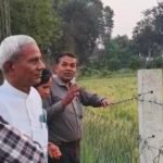 JanjgirChampa News : पोंच गांव के नवाचारी किसान अरुण अग्रवाल ने 15 एकड़ में बीज उत्पादन के लिए गेंहू ...