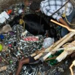 JanjgirChampa Rescue : बिलारी गांव में कुएं में गिरे बैल का रेस्क्यू किया गया, दो घण्टे की मशक्कत के...