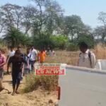 Janjgir Rescue : जंगल से भटककर हिरण पहुंचा मड़वा गांव, वन अमला ने रेस्क्यू किया, ग्रामीणों की जुट गई ...