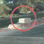 JanjgirChampa News Impact : KhabarCGNews की खबर का असर, अमरताल-अकलतरा के NH-49 मार्ग पर डिवाइडर के प...