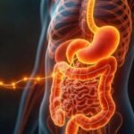 पाचन की हर समस्या होगी दूर: खुद-ब-खुद ठीक होंगी कमजोर आंतें, जानें क्या है यह नई 'CAR T-सेल थेरेपी'