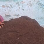 Baheradih News : अंतर्राष्ट्रीय महिला दिवस पर विशेष : केंचुआ पालन और जैविक खाद के कारोबार से पुष्पा ...