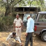 Raigarh Big News : वन विभाग की बड़ी कार्रवाई, कुसमुरा के उमाशंकर सॉ मिल को किया गया सील, कार्रवाई से ...