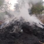 Janjgir-Mulmula Big News : मुलमुला क्षेत्र में बदमाशों के हौसले बुलंद, मशरूम उत्पादन के लिए संग्रहित...