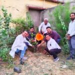 Akaltara News : अकलतरा SDM और तहसीलदार ने विश्व पर्यावरण के दिवस पर किया पौधरोपण, लोगों को अधिक से अ...