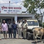 JanjgirChampa Arrest : पशु तस्करी करते 3 आरोपी गिरफ्तार, पिकअप में हो रही थी मवेशियों की तस्करी, 4 म...