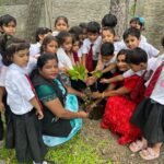 ब्रिलियंट पब्लिक स्कूल बनारी जांजगीर में पौधरोपण किया गया