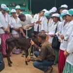 JanjgirChampa News : पशु सखियों को कराया दुग्ध संग्रहण केंद्र का भ्रमण, ए हेल्प प्रोग्राम के तहत 28 ...