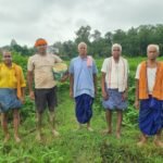 Raigarh Good News: लैलूंगा के पाकरगांव के सुगंधित जवांफूल चावल की खुशबू पहुंच रही मुख्यमंत्री निवास ...